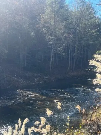 a view of a small yard
