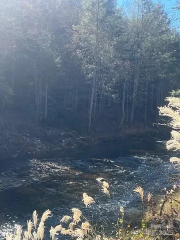 a view of a small yard
