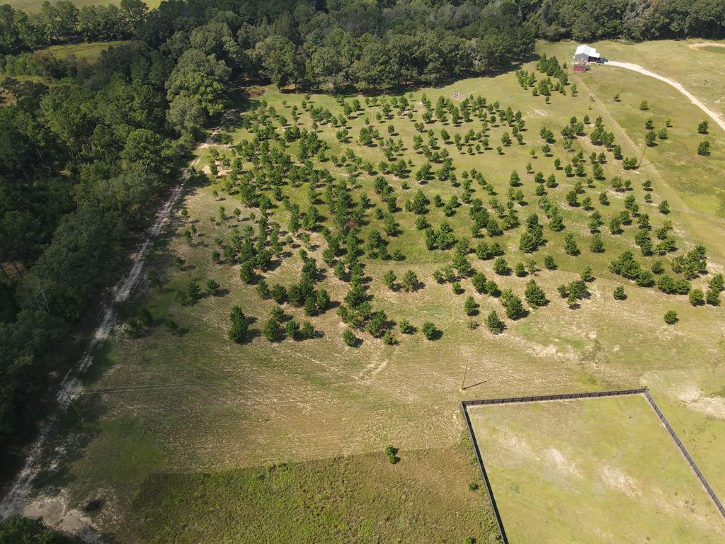 1454 Middleton Road Dothan, AL 36301 - Photo 10 of 21