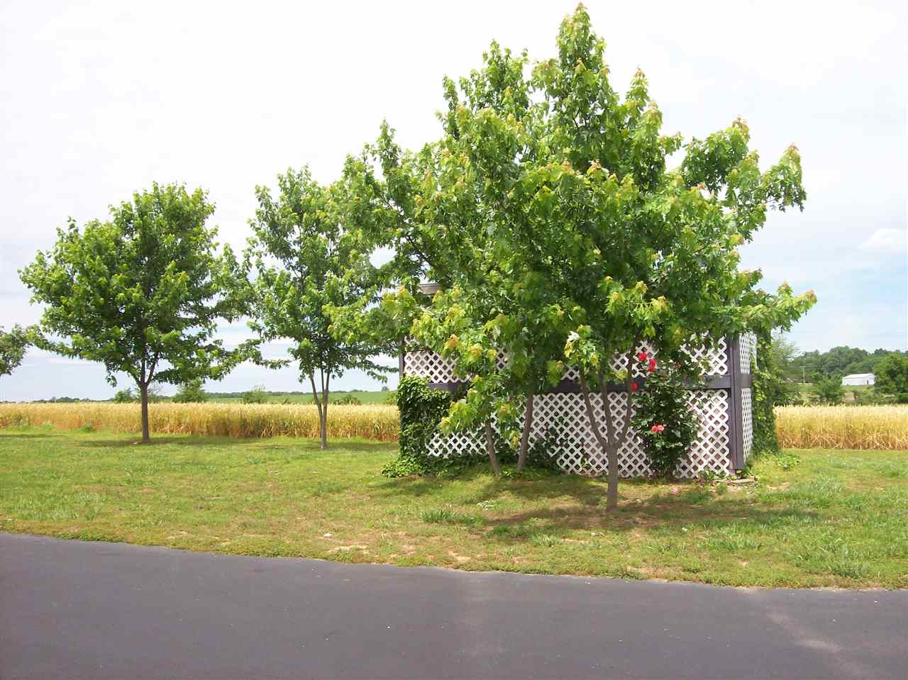 275 Davis Mill Road Elkton, KY 42220 - Photo 28 of 29 Gallery Image 28