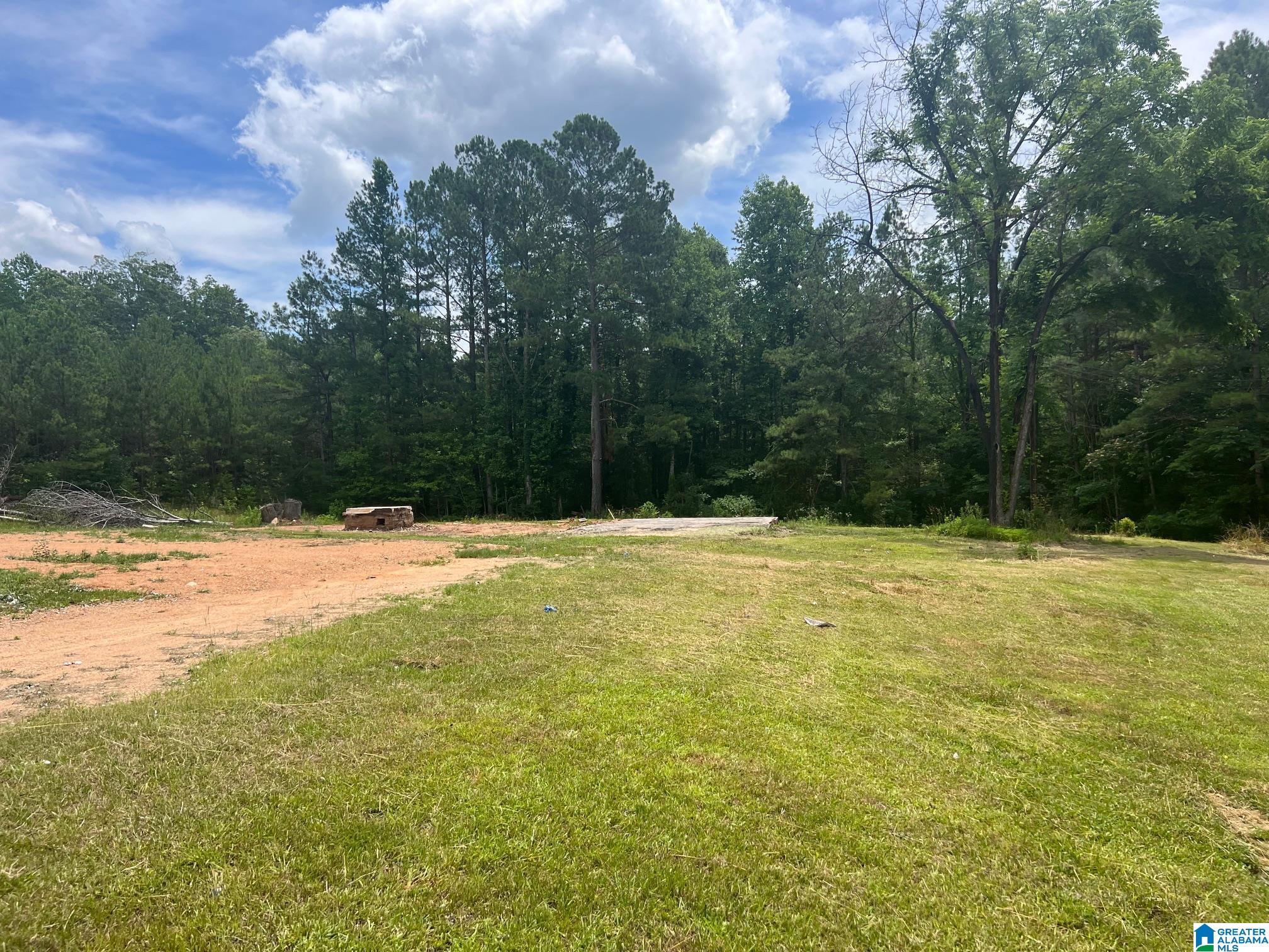 217 County Road 266, Unit 1 Wedowee, AL 36278 - Photo 4 of 5