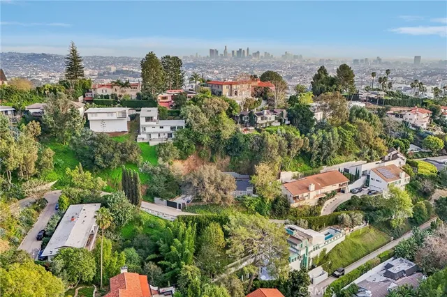 a view of backyard and a tree