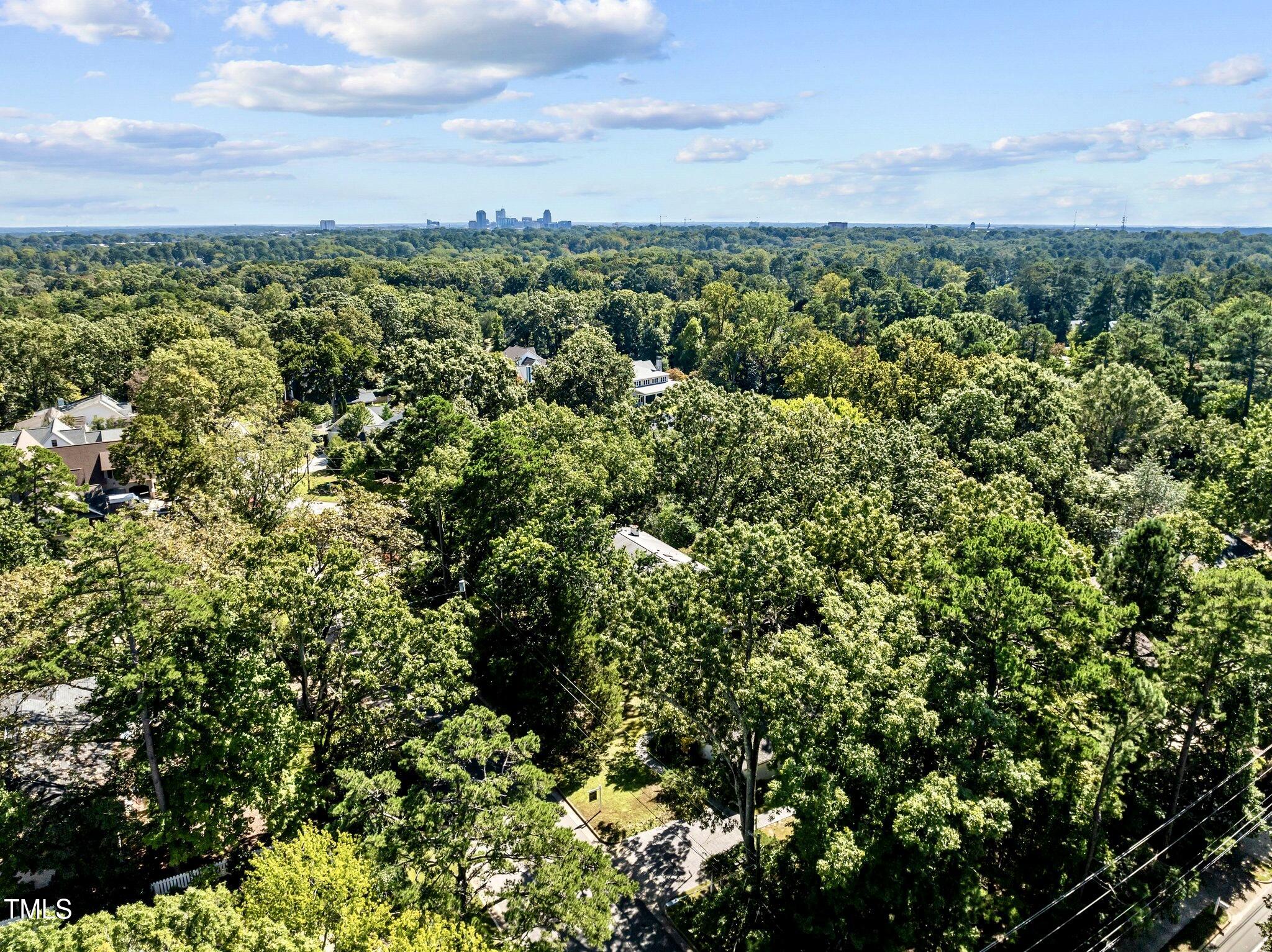 1510 Ridge Road Raleigh, NC 27607 - Photo 3 of 55 a view of a city with lush green forest
