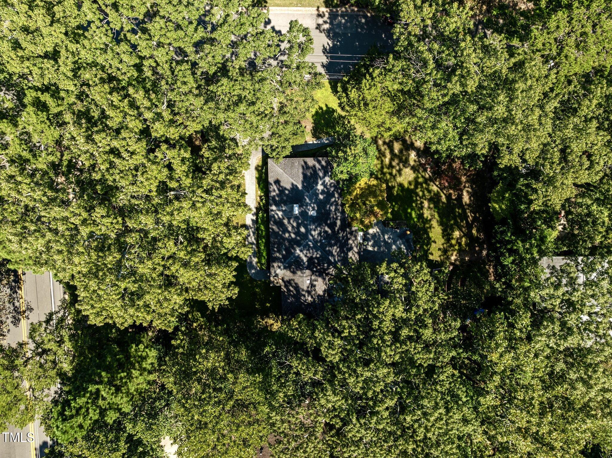 1510 Ridge Road Raleigh, NC 27607 - Photo 36 of 55 a view of a tree