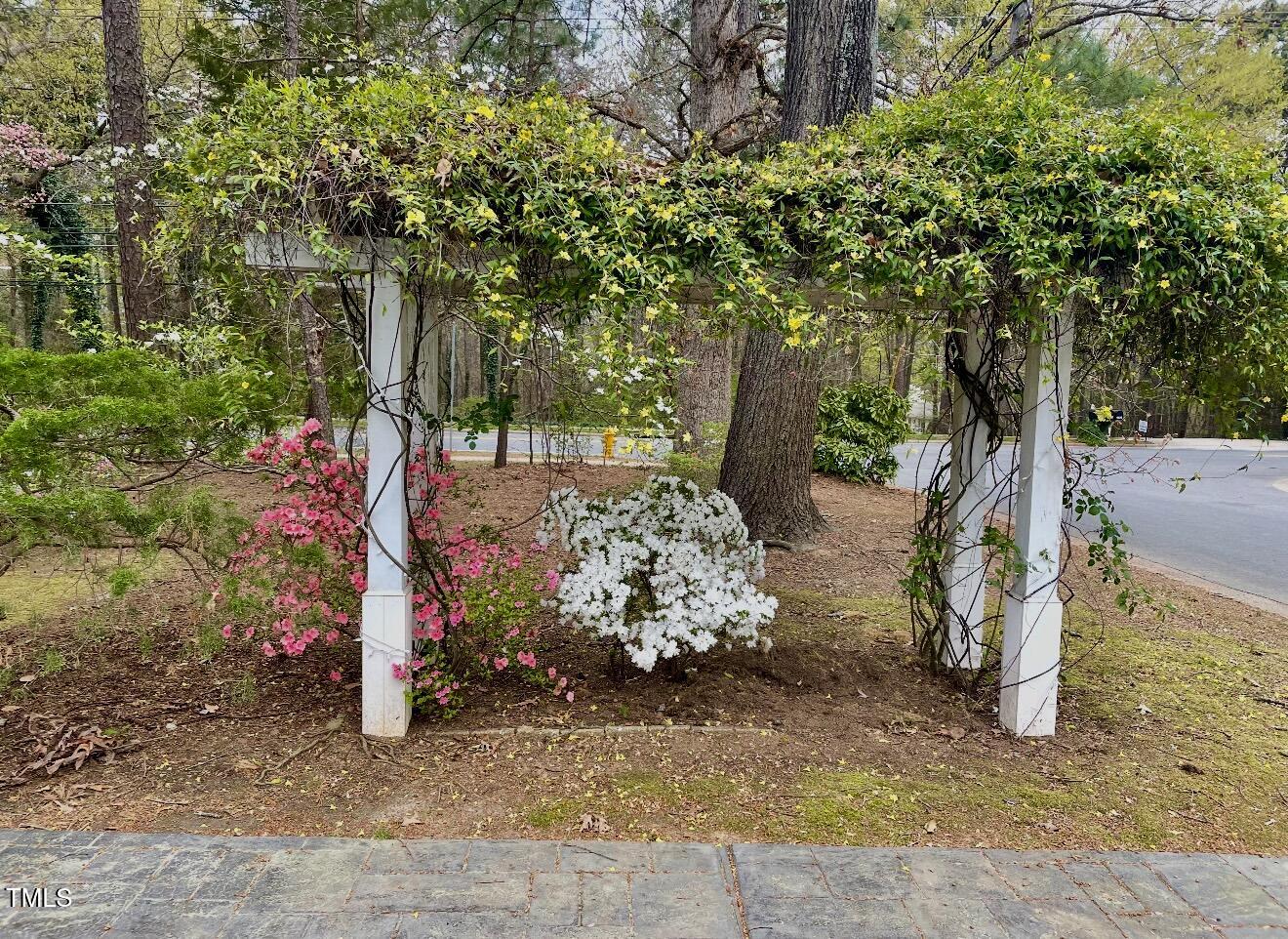 1510 Ridge Road Raleigh, NC 27607 - Photo 55 of 55 a view of a park with large trees