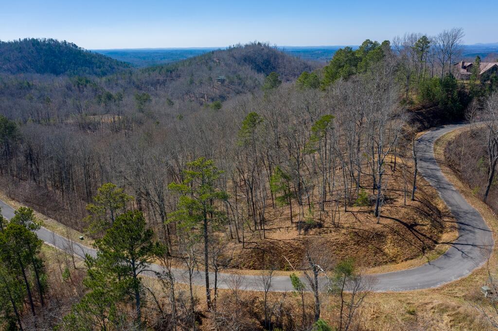 278 Carters Overlook Drive Ranger, GA 30734 - Photo 4 of 17 Gallery Image 4