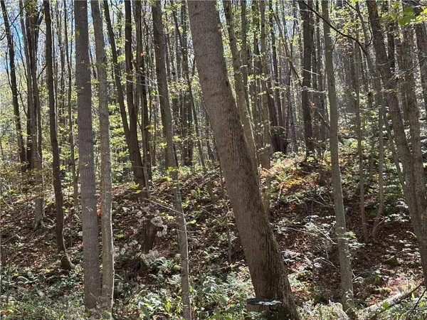 $115,000 | Lot 1 Neals Run Road, Champion, PA 15622