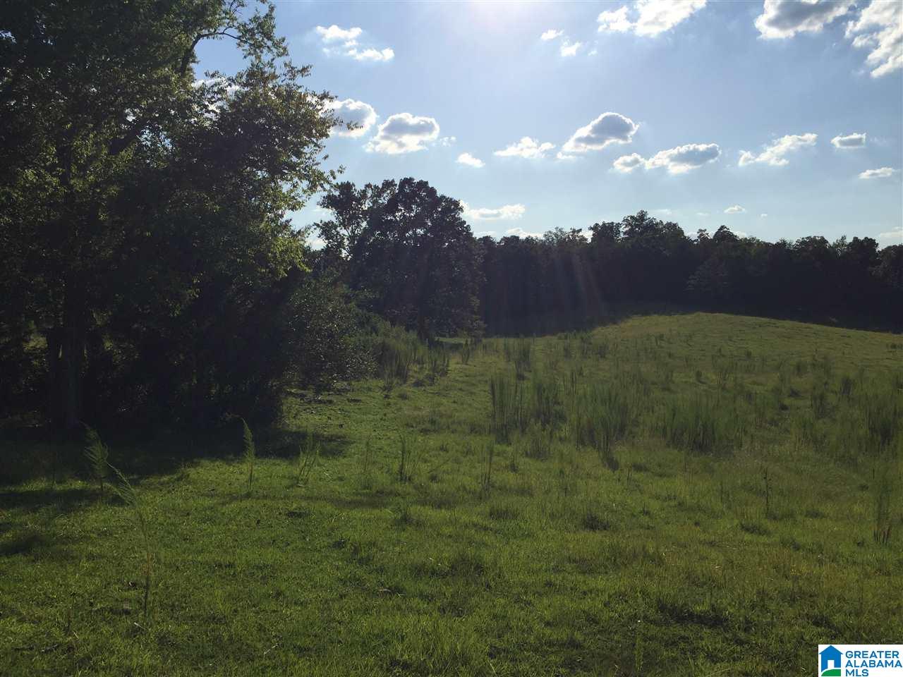 0 Valley Creek Road Piedmont, AL 36272 - Photo 16 of 28