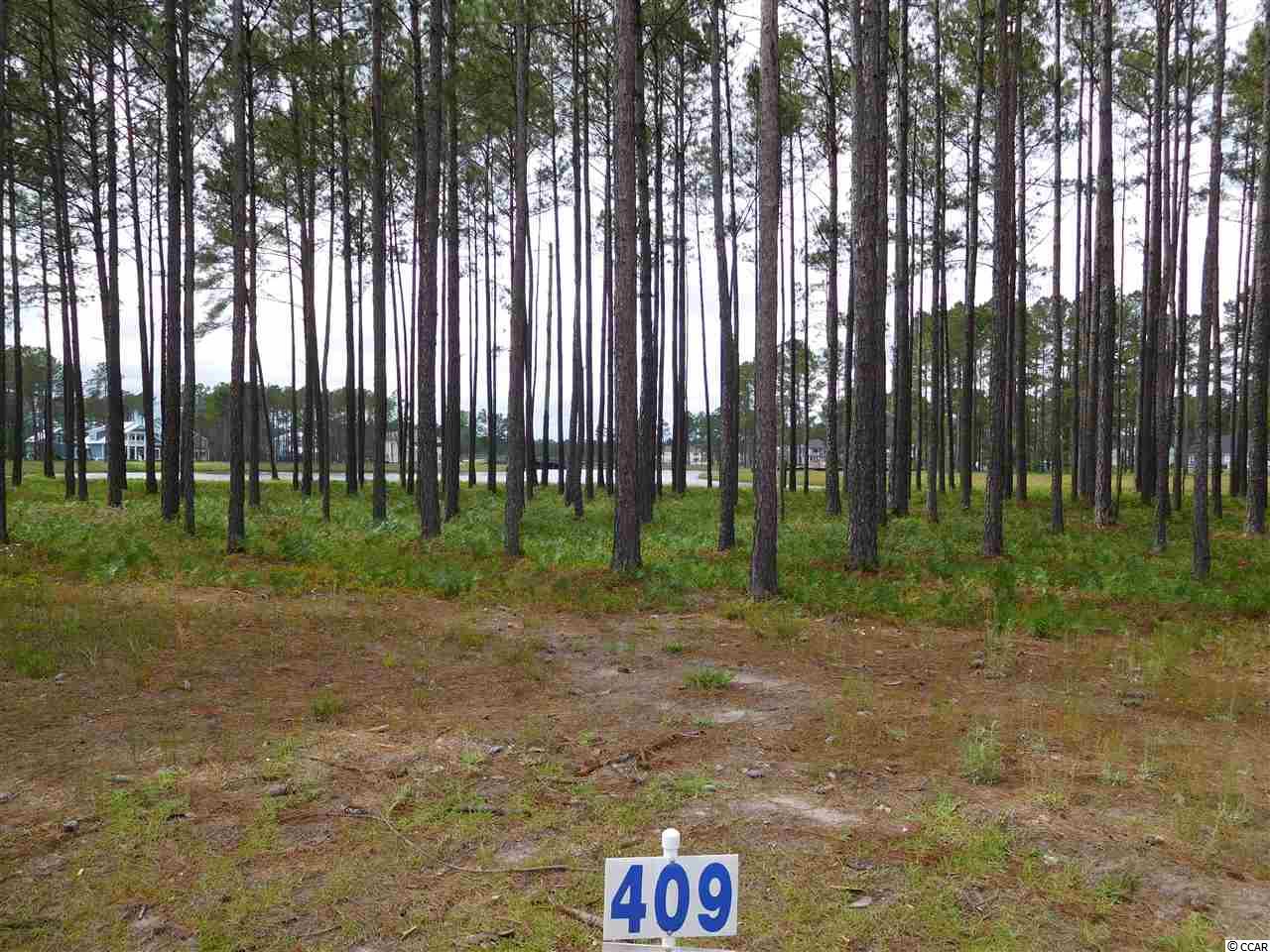 923 Fiddlehead Way Myrtle Beach, SC 29579 - Photo 1 of 12 Gallery Image 1