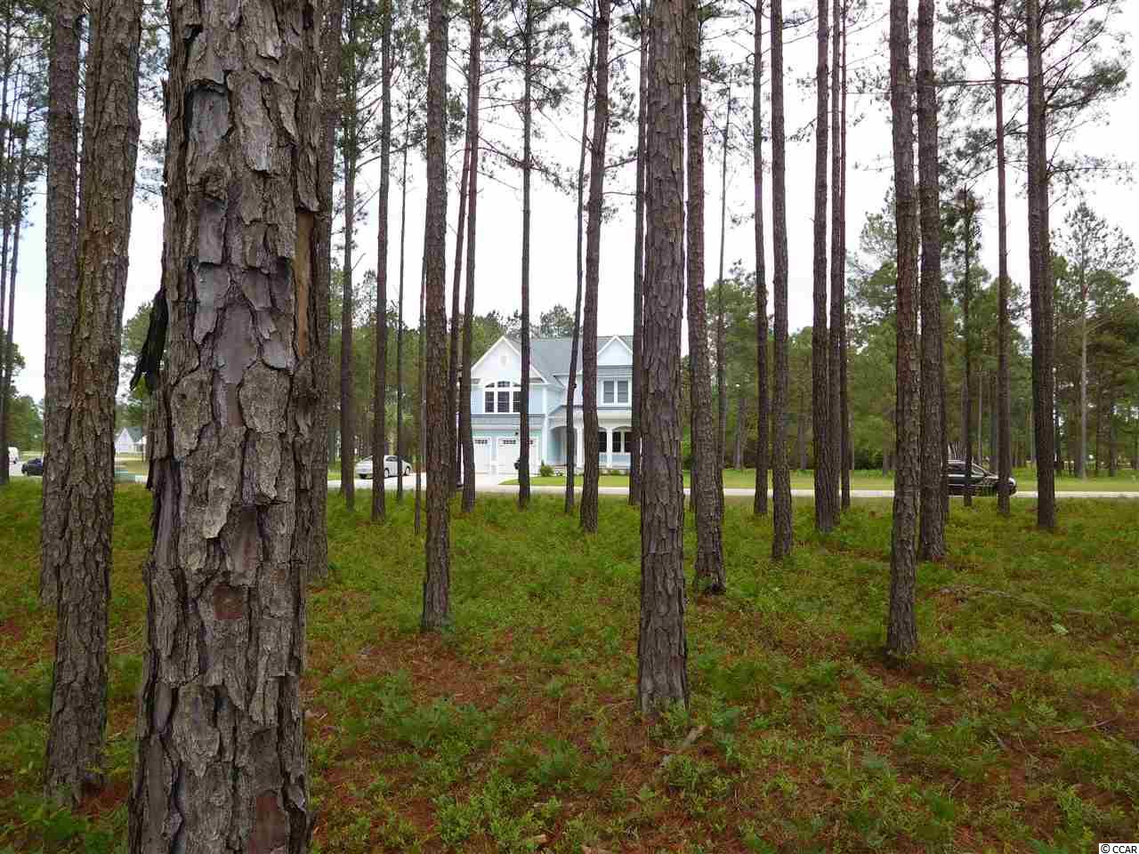 923 Fiddlehead Way Myrtle Beach, SC 29579 - Photo 3 of 12 Gallery Image 3