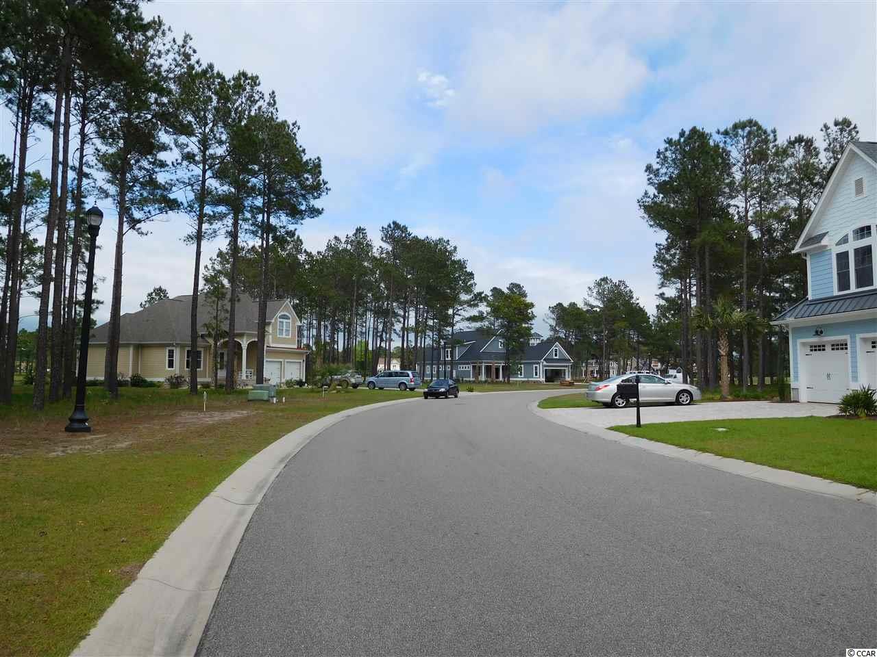 923 Fiddlehead Way Myrtle Beach, SC 29579 - Photo 4 of 12 Gallery Image 4