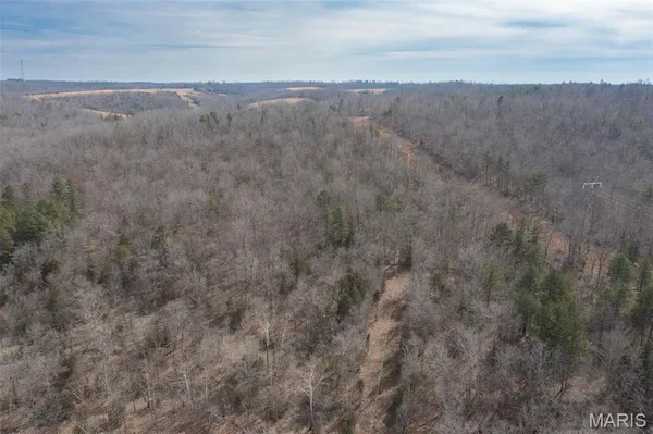 $325,000 | 1547 Madison 248, Fredericktown, MO 63645