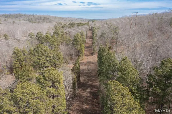 $325,000 | 1547 Madison 248, Fredericktown, MO 63645