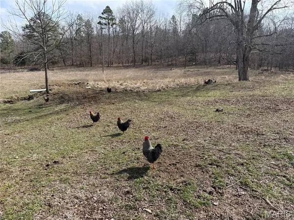 $325,000 | 1547 Madison 248, Fredericktown, MO 63645