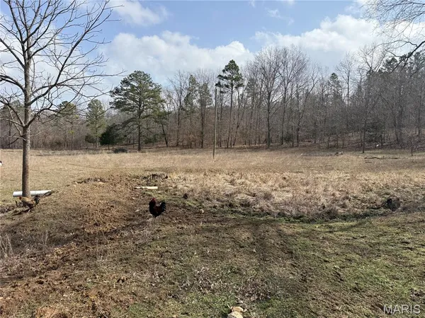 $325,000 | 1547 Madison 248, Fredericktown, MO 63645