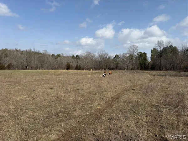 $325,000 | 1547 Madison 248, Fredericktown, MO 63645