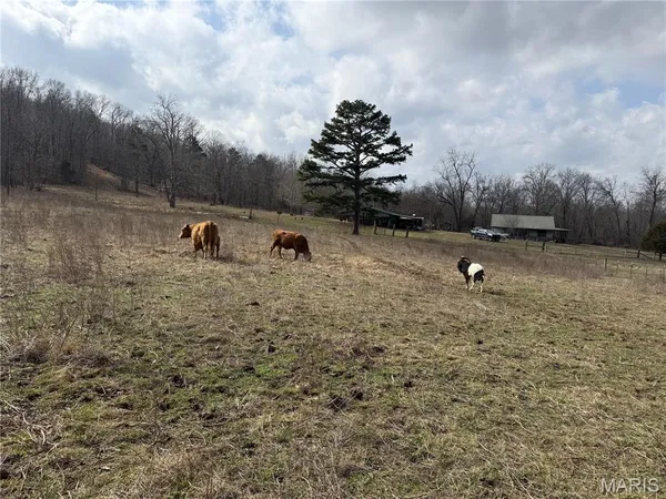 $325,000 | 1547 Madison 248, Fredericktown, MO 63645