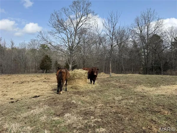 $325,000 | 1547 Madison 248, Fredericktown, MO 63645