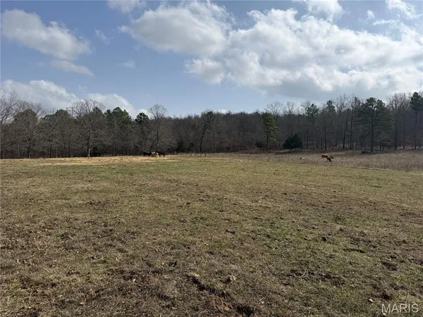 $325,000 | 1547 Madison 248, Fredericktown, MO 63645