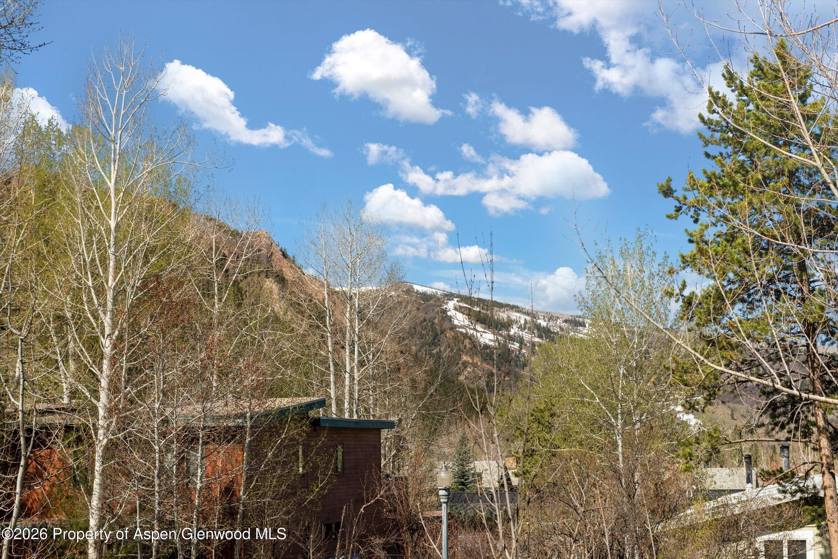 53 Spruce Street, Unit S 1 AND 2 Aspen, CO 81611 - Photo 30 of 67 29-29-534SpruceSt_250429029