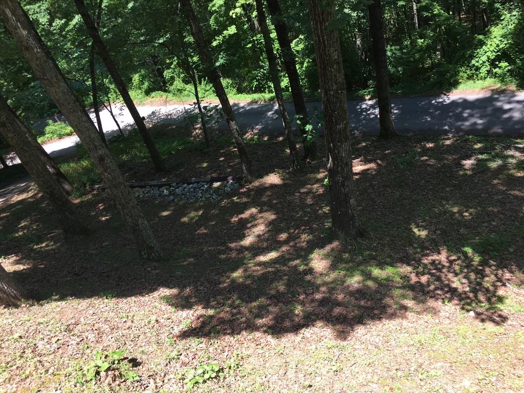 170 Highland Circle Blue Ridge, GA 30513 - Photo 57 of 61