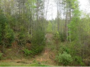 Lot 2-3 Piney Grove Road Hampton, TN 37658 - Photo 1 of 1 Photo 1