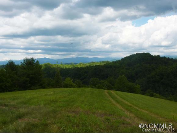 2835 Rector Corner Road Marshall, NC 28753 - Photo 11 of 12 Gallery Image 11