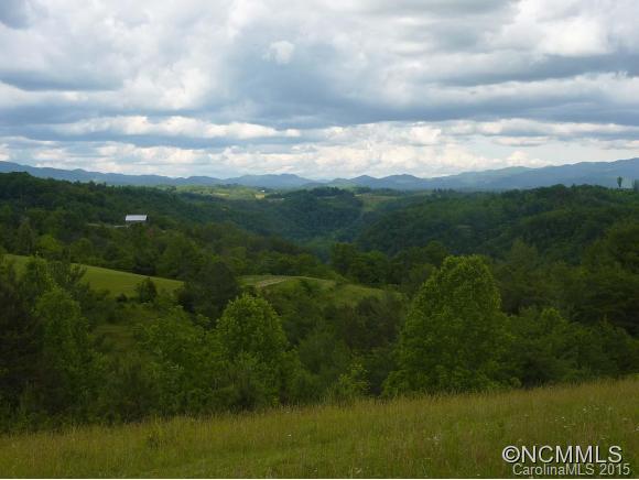 2835 Rector Corner Road Marshall, NC 28753 - Photo 10 of 12 Gallery Image 10