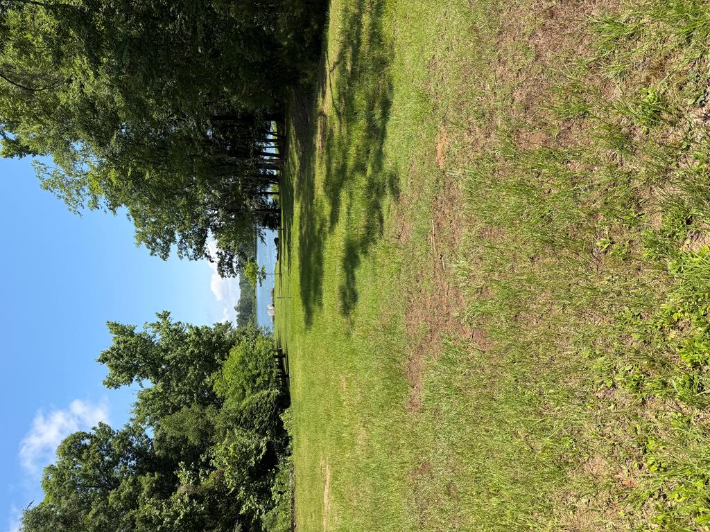 97 County Road 97 Abbeville, AL 36310 - Photo 9 of 15