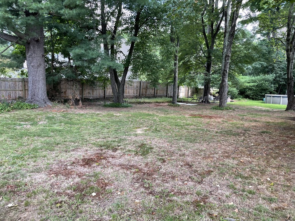 0 Senator Street Springfield, MA 01129 - Photo 2 of 3 a view of a yard with tree s