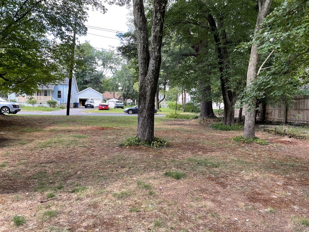 0 Senator Street Springfield, MA 01129 - Photo 3 of 3