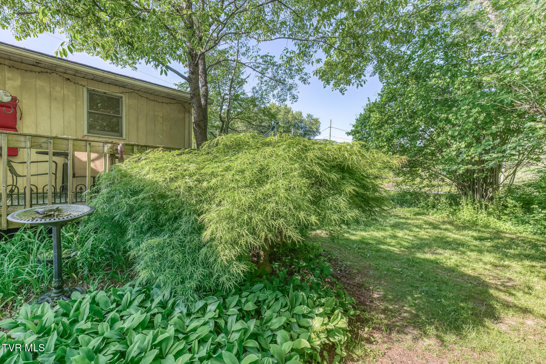 1189 Weaver Branch Road Bluff City, TN 37618 - Photo 28 of 34 1189 Weaver Branch Rd-28