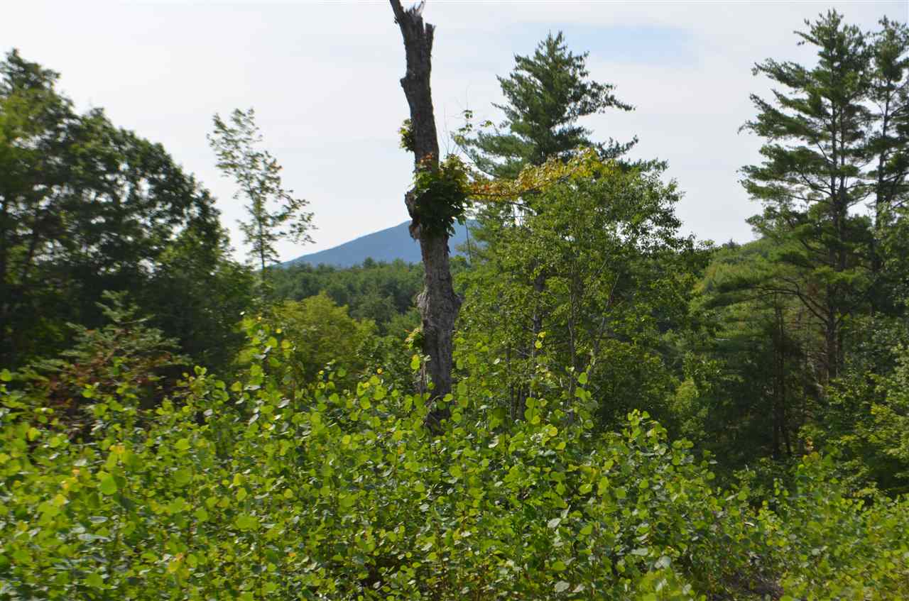 Patterson Road Wilmot, NH 03287 - Photo 1 of 5 Gallery Image 1