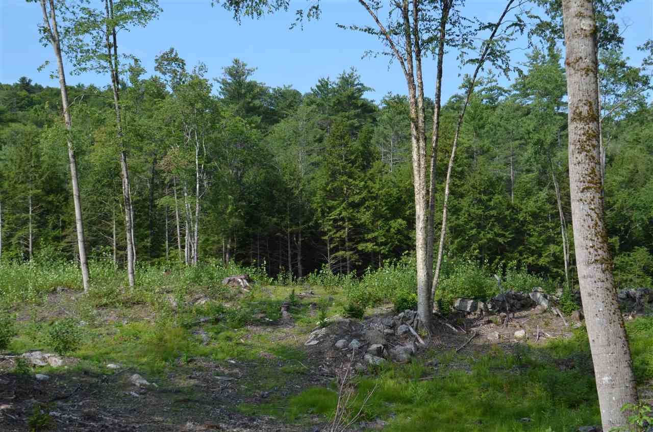 Patterson Road Wilmot, NH 03287 - Photo 2 of 5 Gallery Image 2