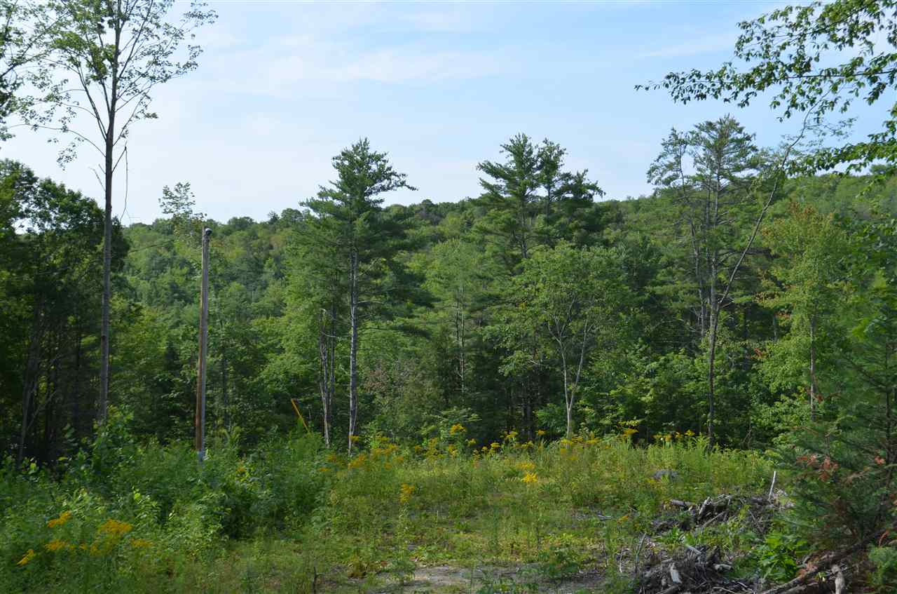 Patterson Road Wilmot, NH 03287 - Photo 3 of 5 Gallery Image 3