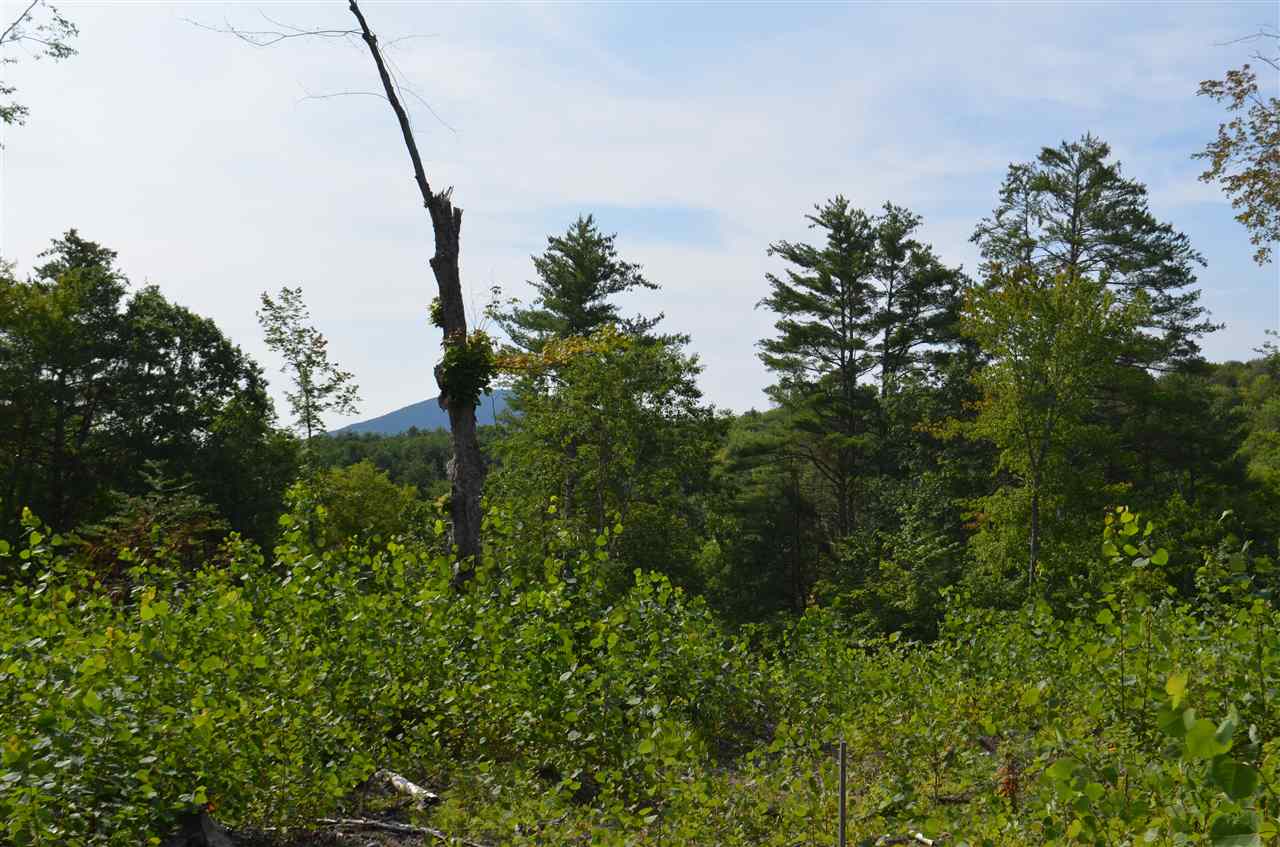 Patterson Road Wilmot, NH 03287 - Photo 4 of 5 Gallery Image 4