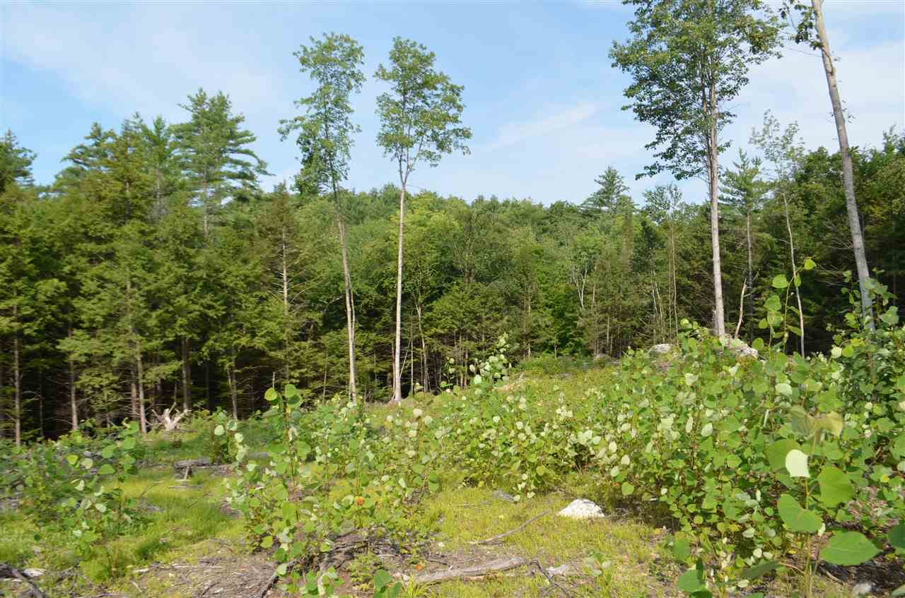 Patterson Road Wilmot, NH 03287 - Photo 5 of 5 Gallery Image 5