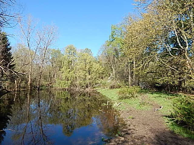 $710,000 | 565 West Leonard Road, Leonard, MI 48367