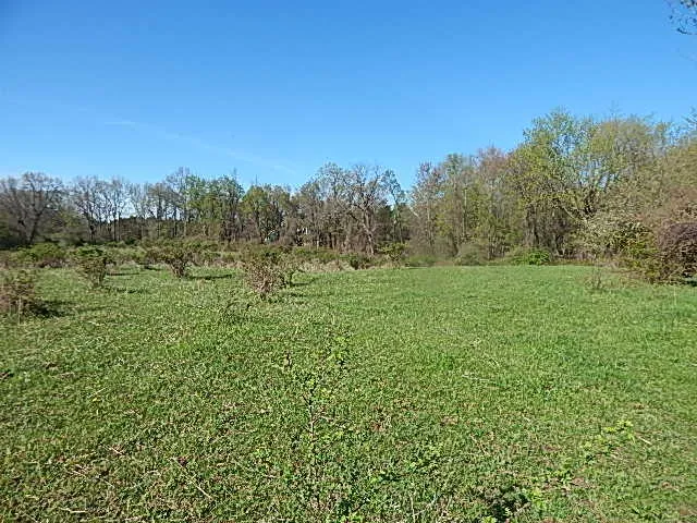 $710,000 | 565 West Leonard Road, Leonard, MI 48367