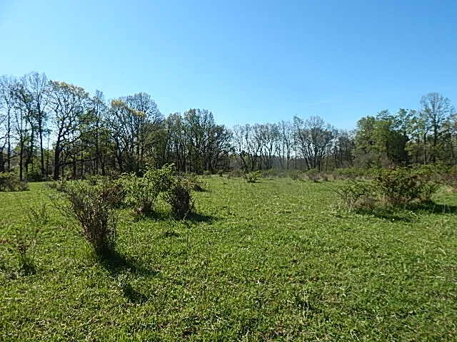 $710,000 | 565 West Leonard Road, Leonard, MI 48367