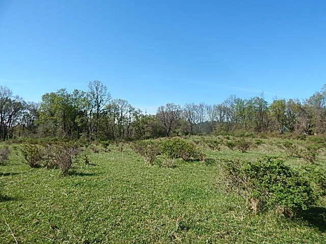 $710,000 | 565 West Leonard Road, Leonard, MI 48367