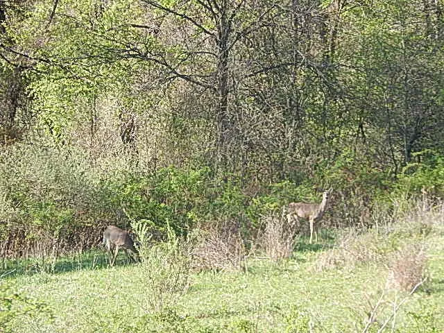 $710,000 | 565 West Leonard Road, Leonard, MI 48367