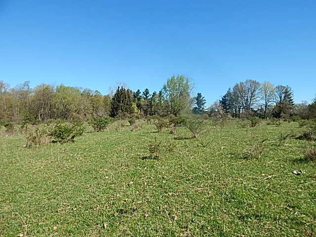 $710,000 | 565 West Leonard Road, Leonard, MI 48367