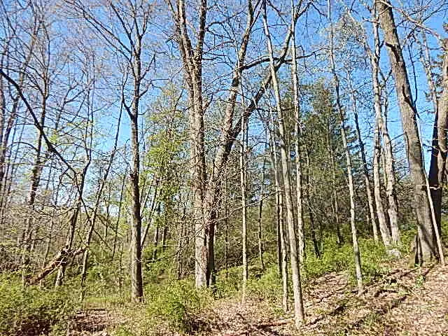 $710,000 | 565 West Leonard Road, Leonard, MI 48367