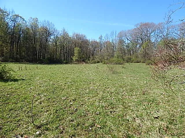 $710,000 | 565 West Leonard Road, Leonard, MI 48367