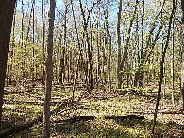 $710,000 | 565 West Leonard Road, Leonard, MI 48367