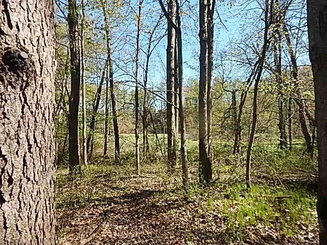 $710,000 | 565 West Leonard Road, Leonard, MI 48367