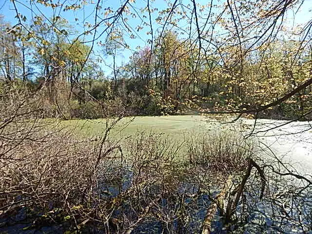 $710,000 | 565 West Leonard Road, Leonard, MI 48367