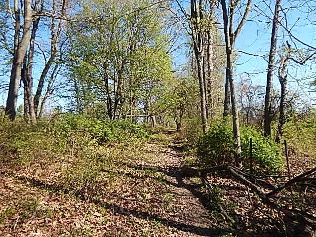 $710,000 | 565 West Leonard Road, Leonard, MI 48367