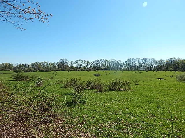 $710,000 | 565 West Leonard Road, Leonard, MI 48367